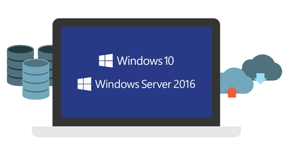 windows