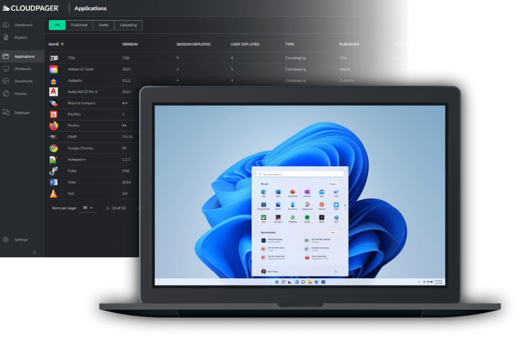 Windows 11 Desktop