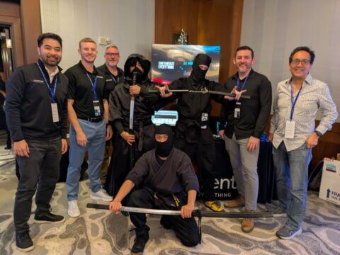 WP Ninjas - Ninjas